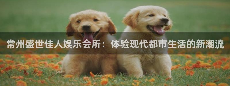 糖果派对手游：常州盛世佳人娱乐会所：体验现代都市生活的新潮流