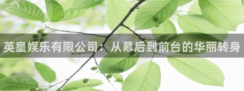 糖果派对夺宝
