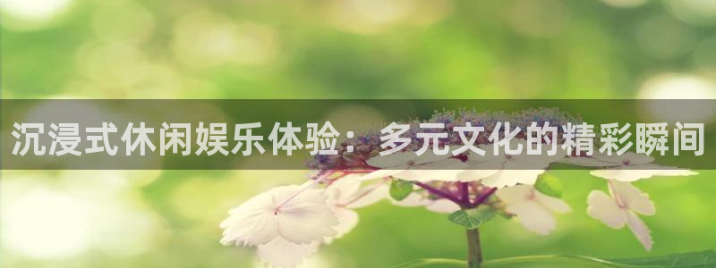 糖果派对最新官网入口
