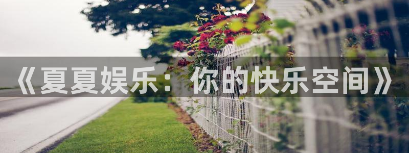 糖果派对输：《夏夏娱乐：你的快乐空间》