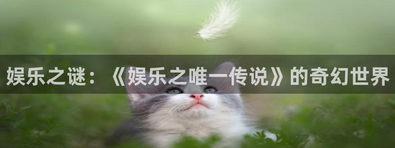 糖果派对2021：娱乐之谜：《娱乐之唯一传说》的奇幻世界