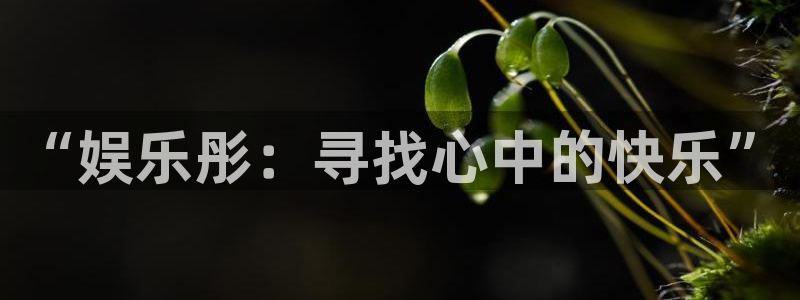 糖果派对3：“娱乐彤：寻找心中的快乐”