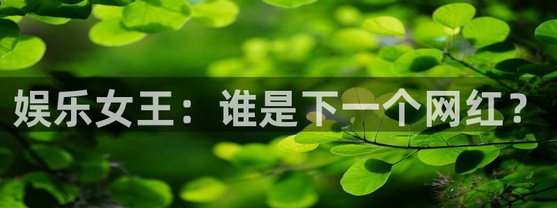 单机版糖果派对：娱乐女王：谁是下一个网红？