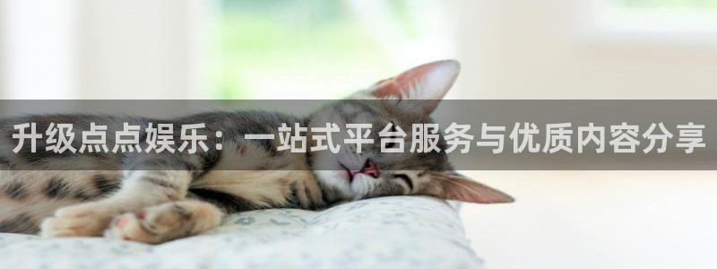 糖果派对体验版：升级点点娱乐：一站式平台服务与优质内容分享
