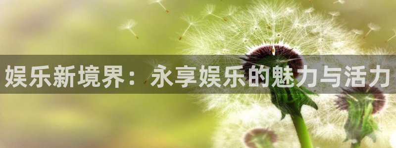 糖果派对巧克力彩球：娱乐新境界：永享娱乐的魅力与活力
