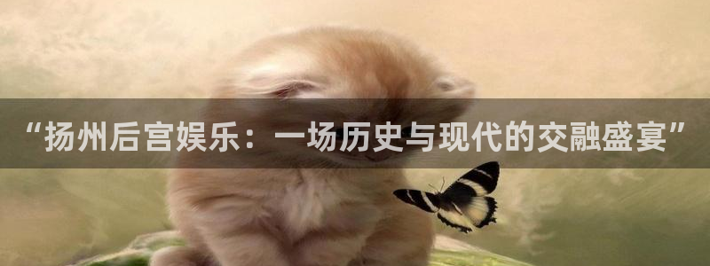 正版糖果派对官网：“扬州后宫娱乐：一场历史与现代的交融盛宴”