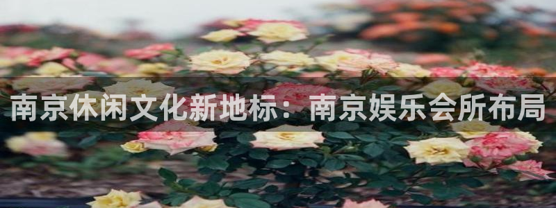 糖果派对派对：南京休闲文化新地标：南京娱乐会所布局